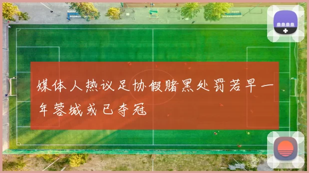 媒体人热议足协假赌黑处罚若早一年蓉城或已夺冠