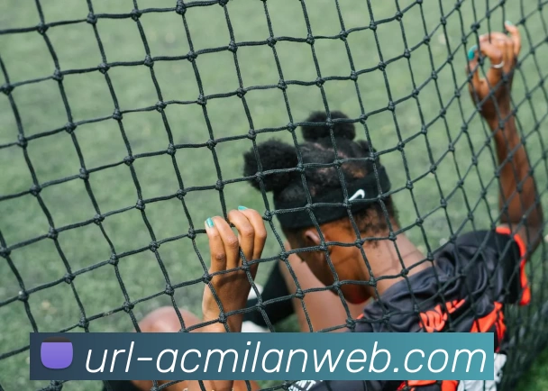 米兰体育全站App